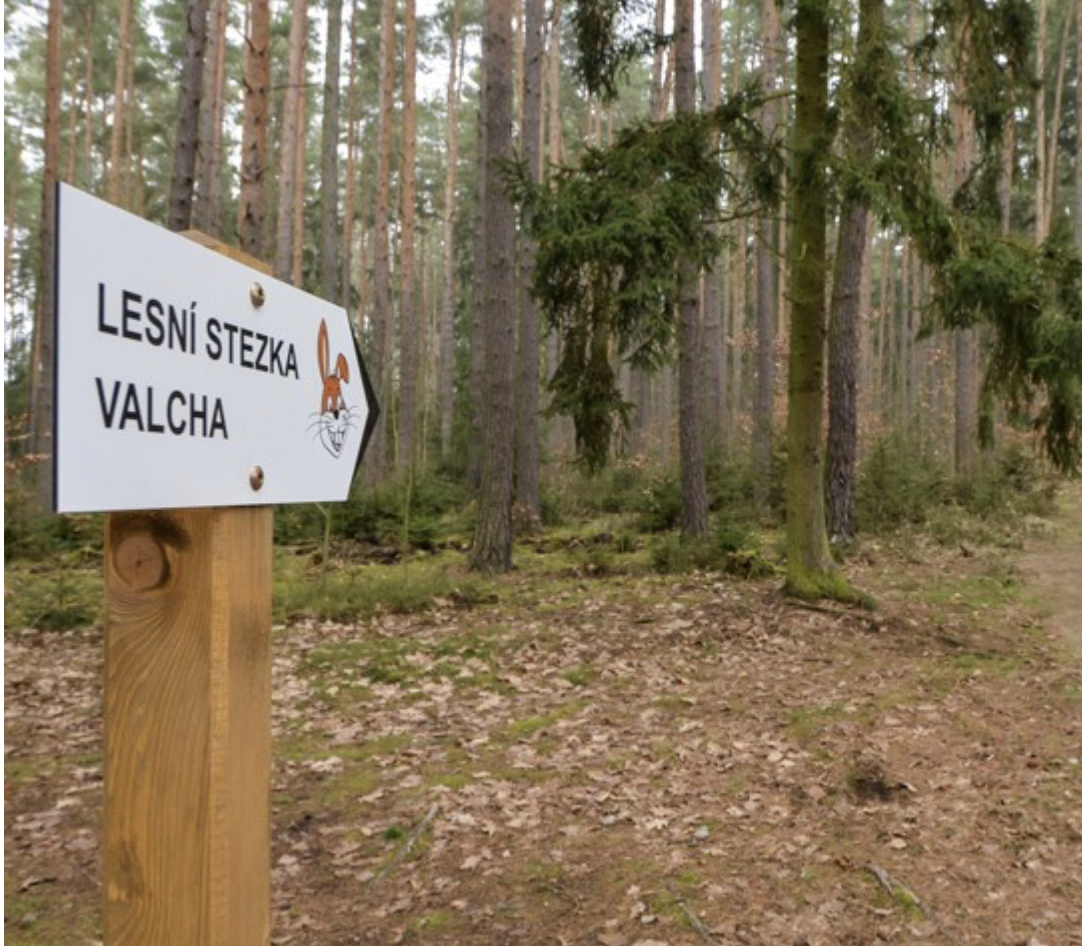 LESNÍ STEZKA VALCHA